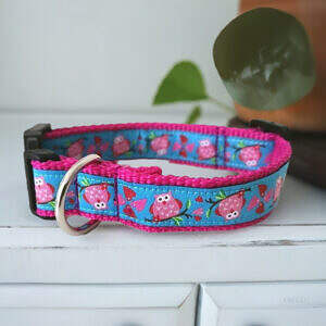 Hundehalsband Pink Blau Eule