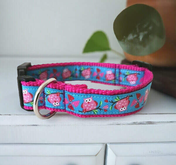 Hundehalsband Pink Blau Eule