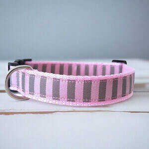 Hundehalsband grau rosa