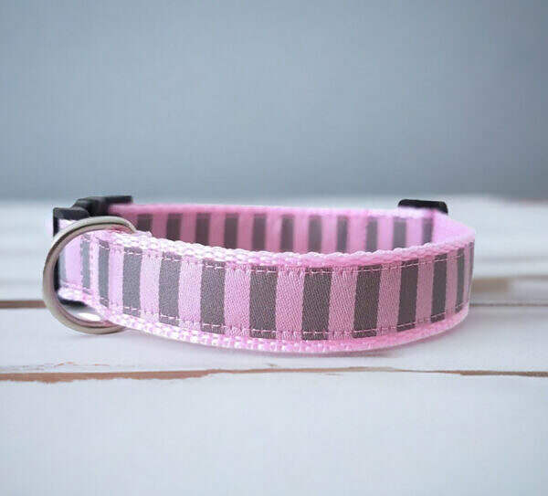 Hundehalsband grau rosa