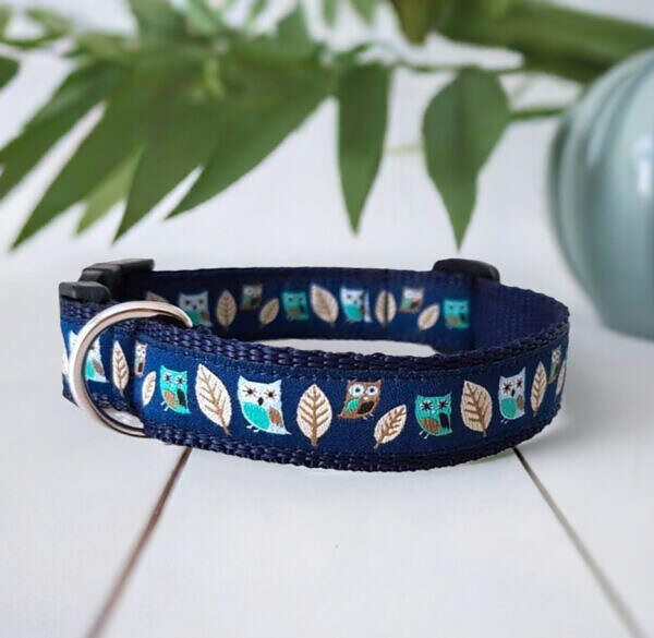 Hundehalsband Blau Eule