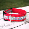 Hundehalsband Rot Maritim