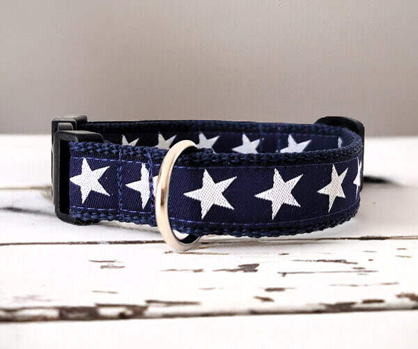 Hundehalsband Blau Sterne
