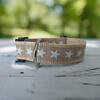 Hundehalsband beige Sterne