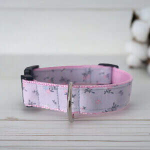 Hundehalsband grau Streublumen