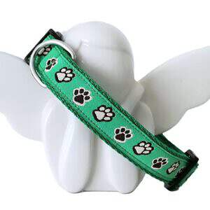 Hundehalsband grün Pfoten