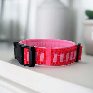 Hundehalsband rosa rot gestreift