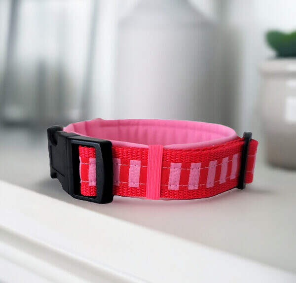 Hundehalsband rosa rot gestreift